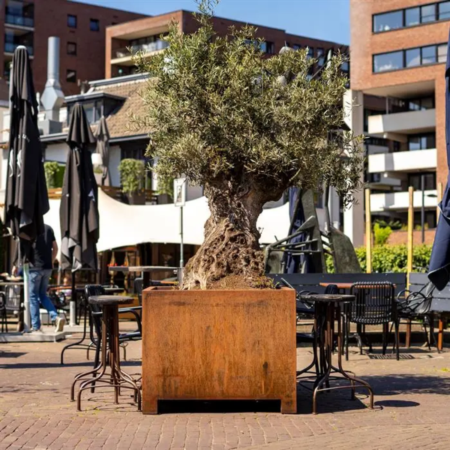Nova Studio - Vas de plante - Corten - Setting