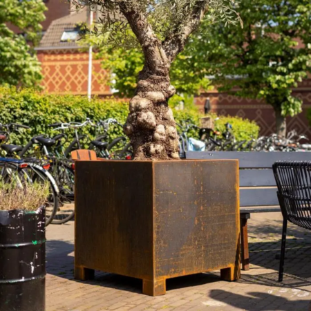 Nova Studio - Vas de plante - Corten - Setting