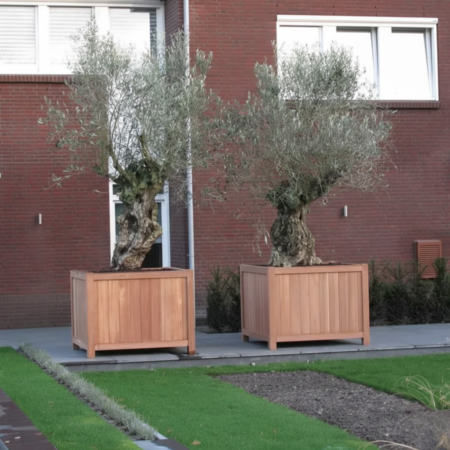 Nova Studio - Vas de plante - Tropical Wood - Setting