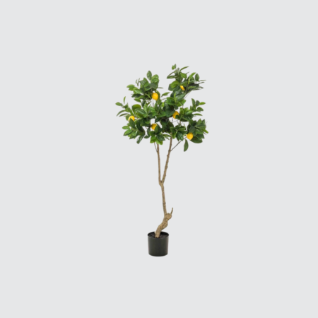 Nova Studio - Copac Lamai Artificial - 150 cm