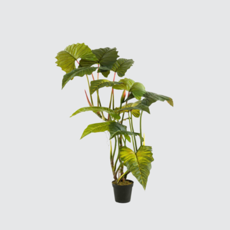 Nova Studio - Copac artificial Colocasia - 175 cm