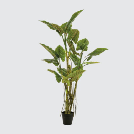 Nova Studio - Copac artificial Colocasia cu Liana - 195 cm