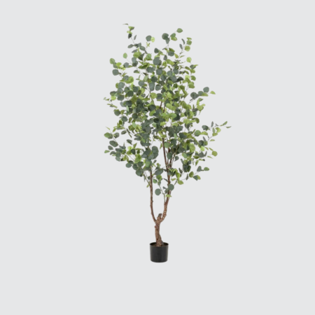 Nova Studio - Copac artificial Eucalyptus - 180 cm