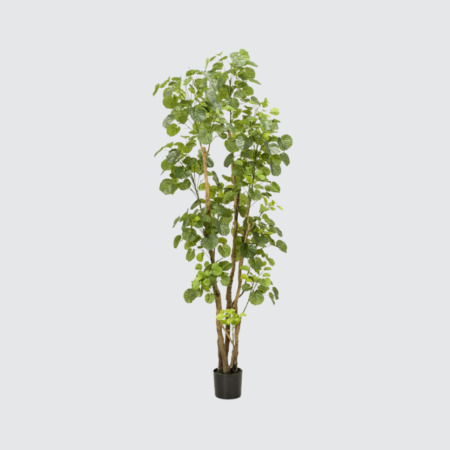 Nova Studio - Copac artificial Poliscia - 195 cm