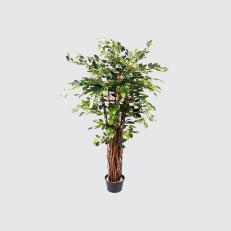 Nova Studio - Ficus artificial Benjamina Liana Deluxe - 175 cm