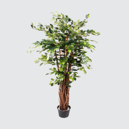 Nova Studio - Ficus artificial Benjamina Liana Deluxe - 205 cm