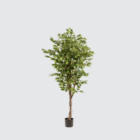 Nova Studio - Ficus artificial Deluxe - 170 cm