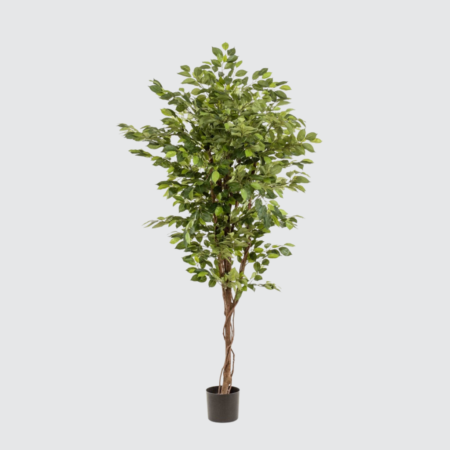 Nova Studio - Ficus artificial Deluxe - 200 cm