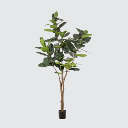 Nova Studio - Ficus artificial Elastica - 210 cm