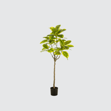 Nova Studio - Ficus artificial Elastica Verde-Galben - 145 cm