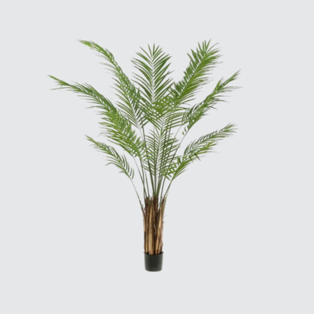 Nova Studio - Palmier artificial Areca - 180 cm