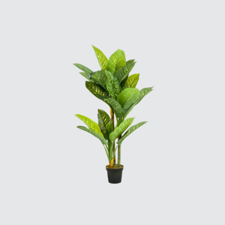 Nova Studio - Plantă artificială Dieffenbachia - 150 cm