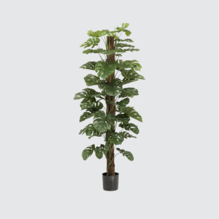 Nova Studio - Plantă artificială Monstera - 180 cm