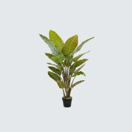 Nova Studio - Plantă artificială Strelitzia - 135 cm