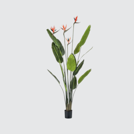 Nova Studio - Plantă artificială Strelitzia cu flori - 150 cm